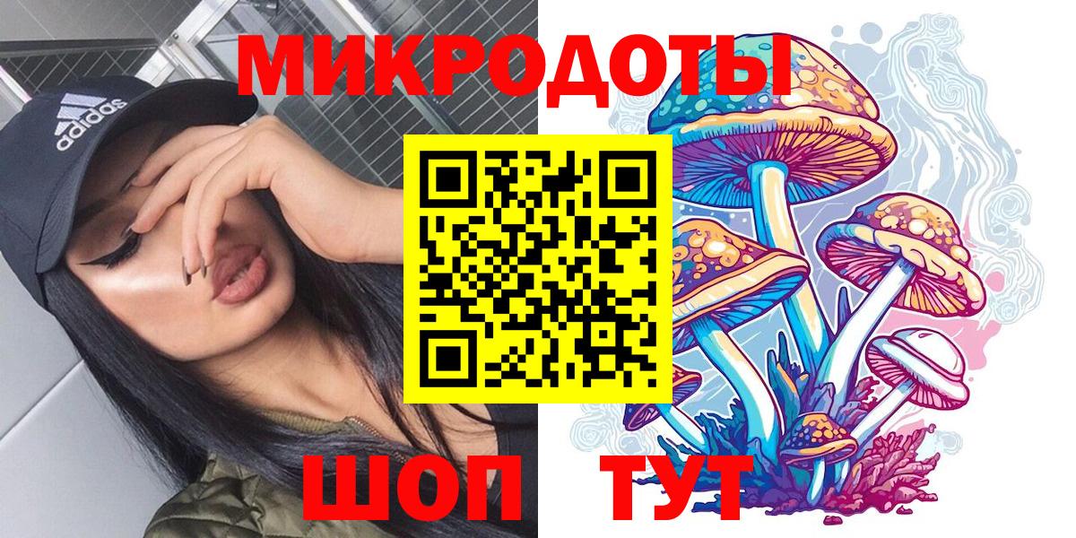 хочу   Вход с VPN  Заринск  Галлюциногенные грибы MAGIC MUSHROOMS 