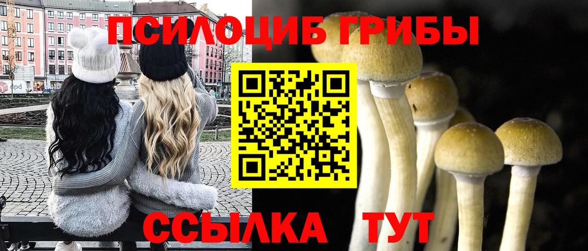 Псилоцибиновые грибы прущие грибы Заринск
